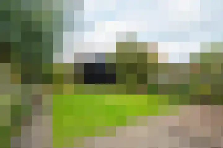 Beatrixlaan 34 Dalem thumbnail 32