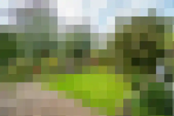 Beatrixlaan 34 Dalem thumbnail 34