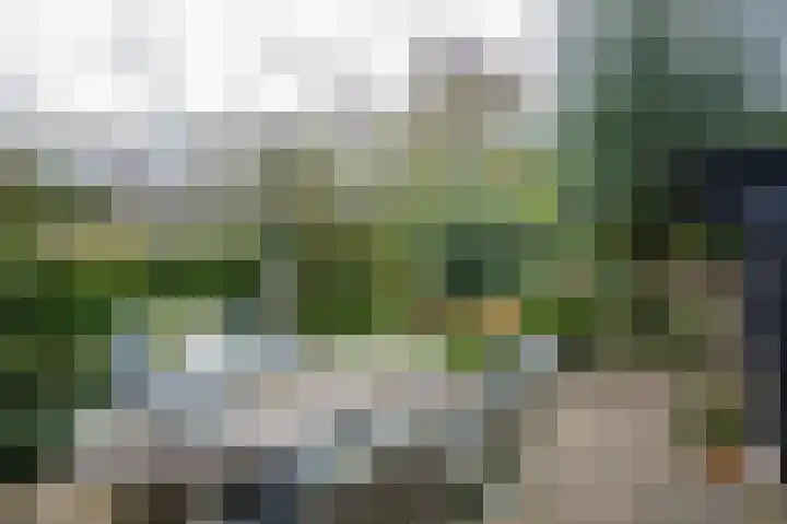 Beatrixlaan 34 Dalem thumbnail 43