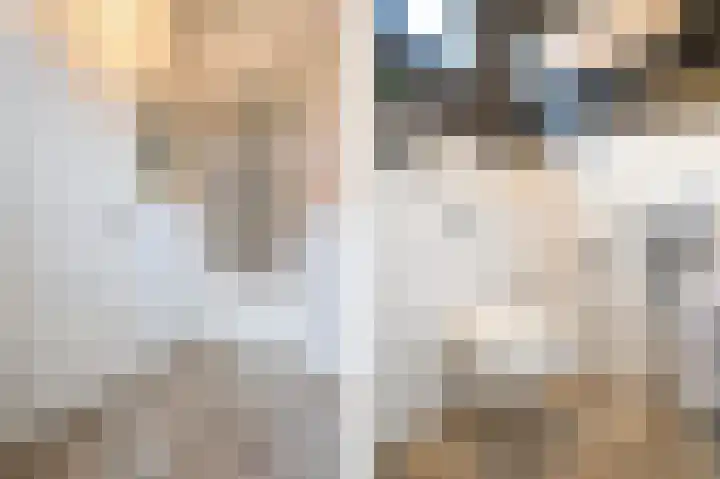 Beatrixlaan 34 Dalem thumbnail 50