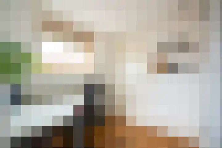 Beatrixlaan 34 Dalem thumbnail 57