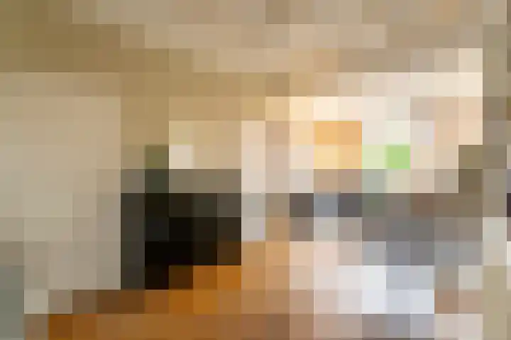 Beatrixlaan 34 Dalem thumbnail 6