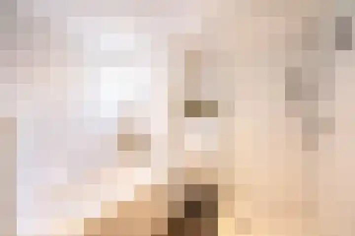 Beatrixlaan 34 Dalem thumbnail 61