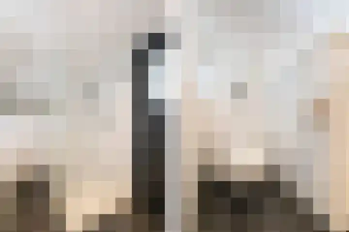 Beatrixlaan 34 Dalem thumbnail 62