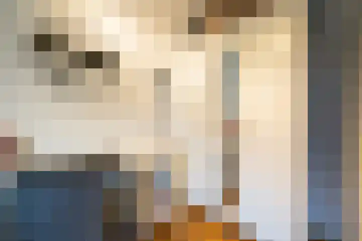 Beatrixlaan 34 Dalem thumbnail 64
