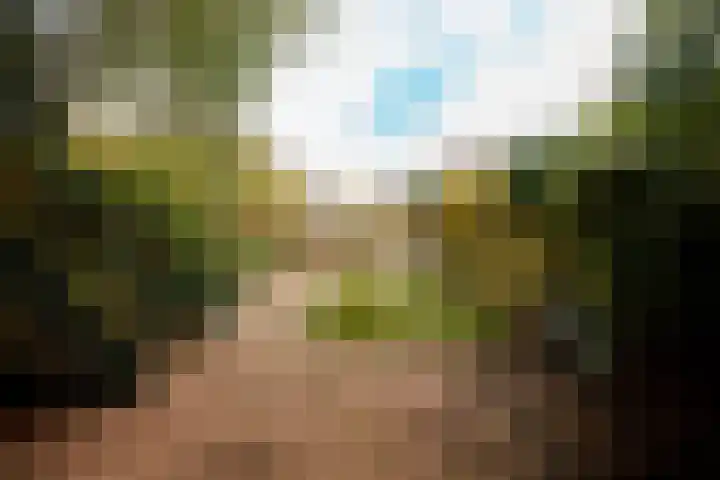 Beatrixlaan 34 Soest thumbnail 34