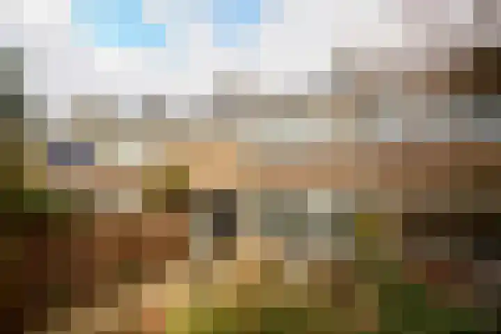 Beatrixlaan 34 Soest thumbnail 39