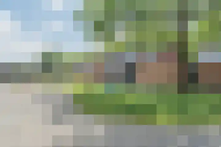 Beatrixlaan 35 Harmelen thumbnail 37