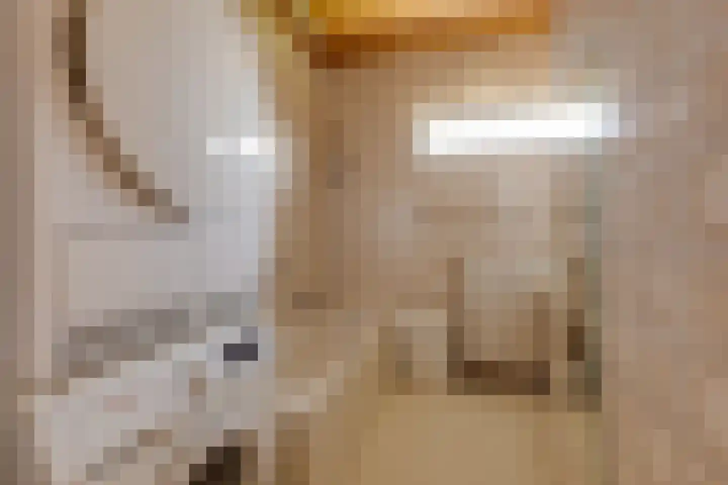 Beatrixlaan 35 Hummelo thumbnail 34