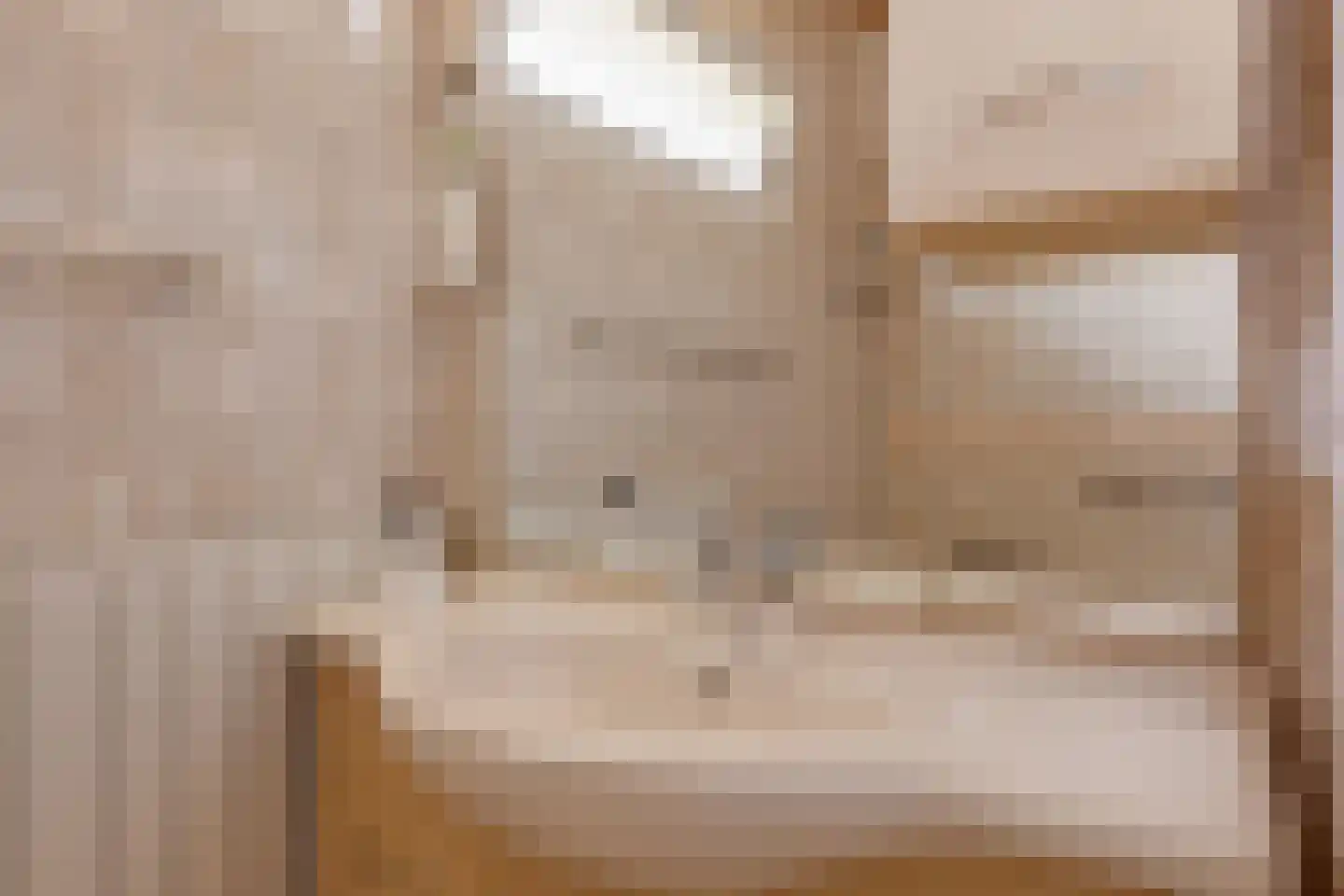 Beatrixlaan 35 Hummelo thumbnail 37