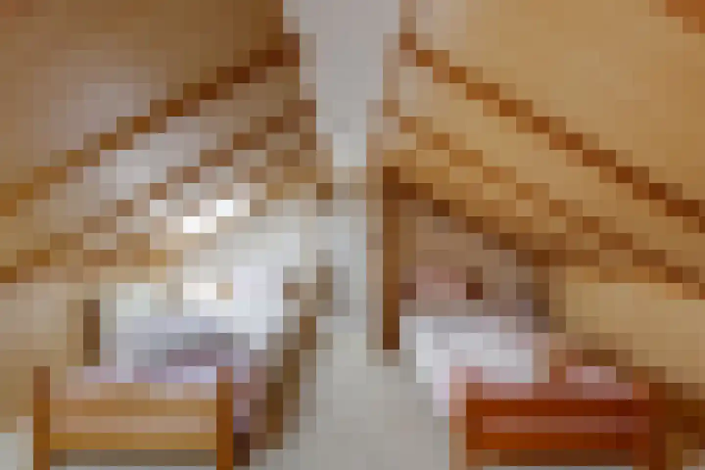 Beatrixlaan 35 Hummelo thumbnail 43