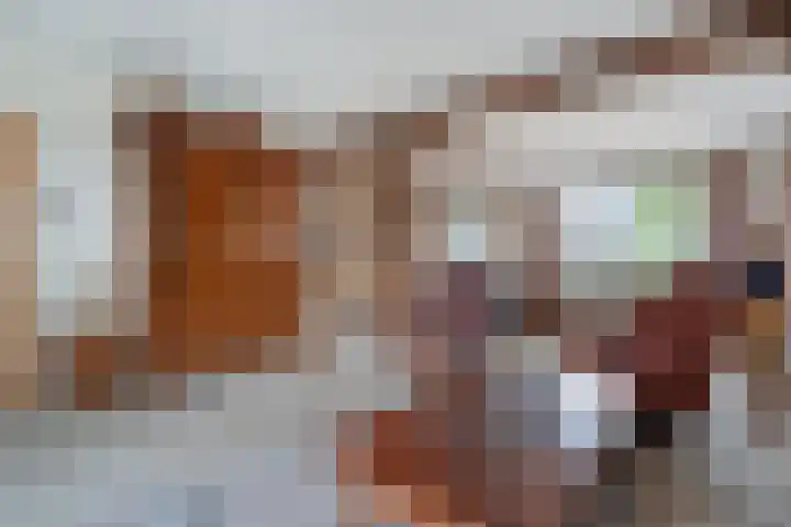 Beatrixlaan 39 Oosterhesselen thumbnail 13