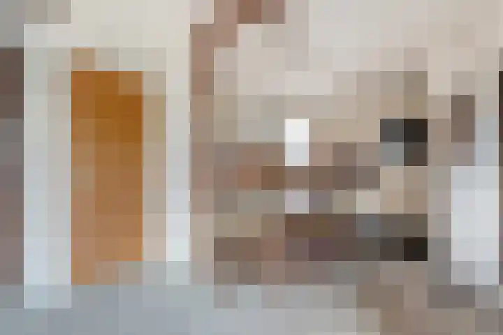Beatrixlaan 39 Oosterhesselen thumbnail 16