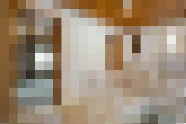 Beatrixlaan 39 Oosterhesselen thumbnail 29