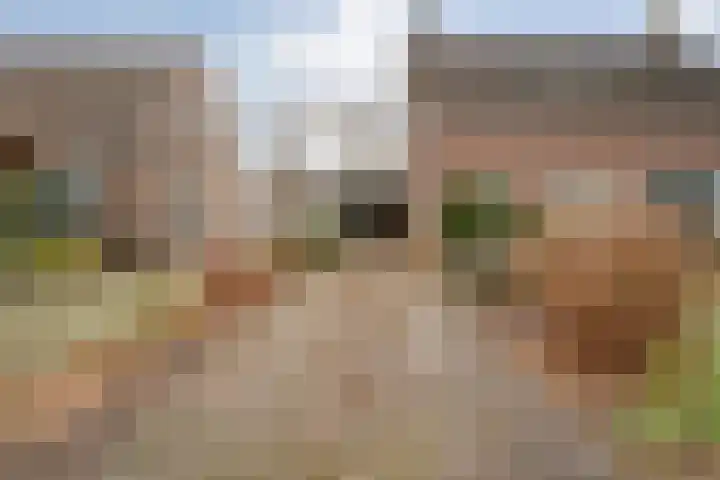 Beatrixlaan 39 Oosterhesselen thumbnail 4