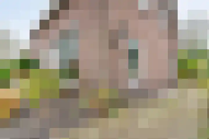 Beatrixlaan 39 Oosterhesselen thumbnail 41