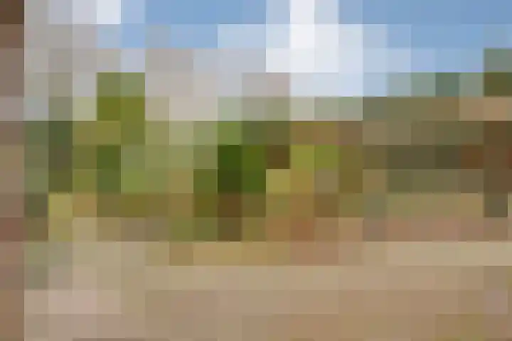 Beatrixlaan 39 Oosterhesselen thumbnail 42