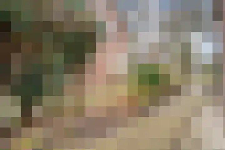 Beatrixlaan 39 Oosterhesselen thumbnail 44