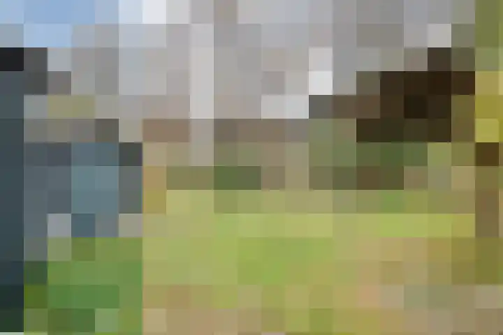 Beatrixlaan 39 Oosterhesselen thumbnail 46