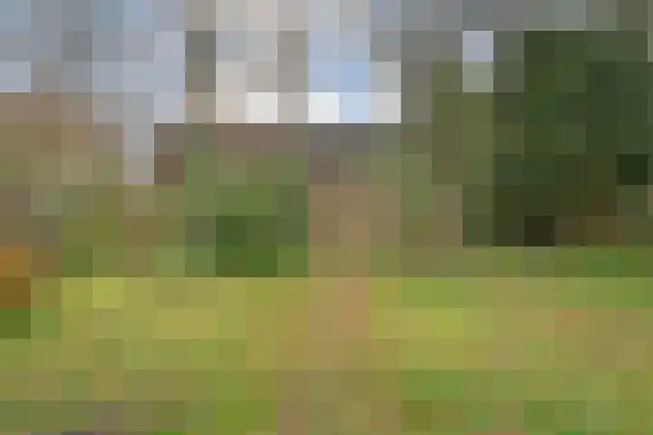 Beatrixlaan 39 Oosterhesselen thumbnail 49