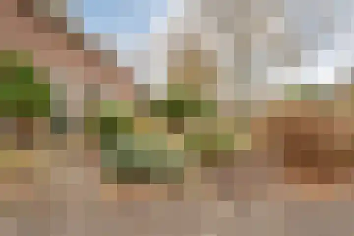 Beatrixlaan 39 Oosterhesselen thumbnail 5