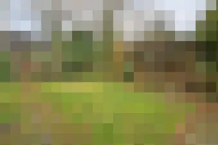 Beatrixlaan 39 Oosterhesselen thumbnail 51