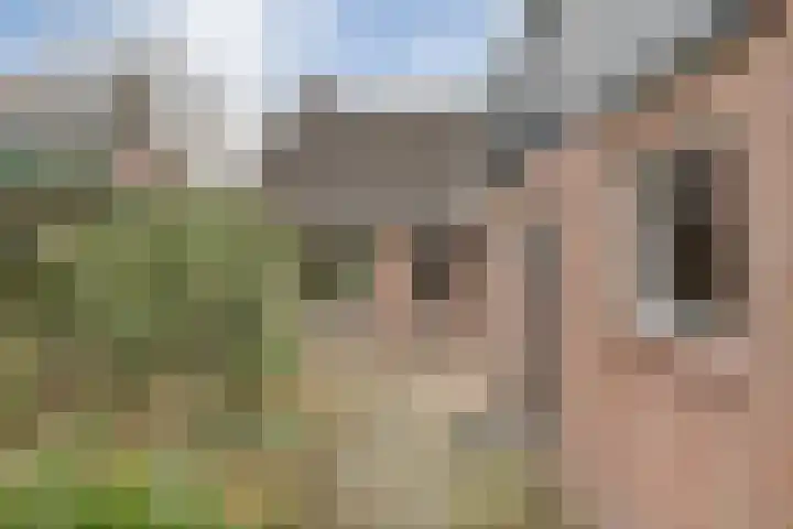 Beatrixlaan 39 Oosterhesselen thumbnail 52