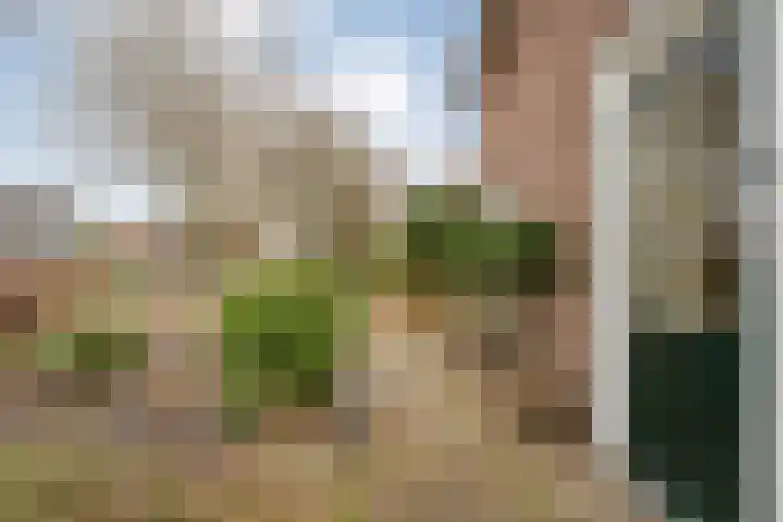 Beatrixlaan 39 Oosterhesselen thumbnail 7