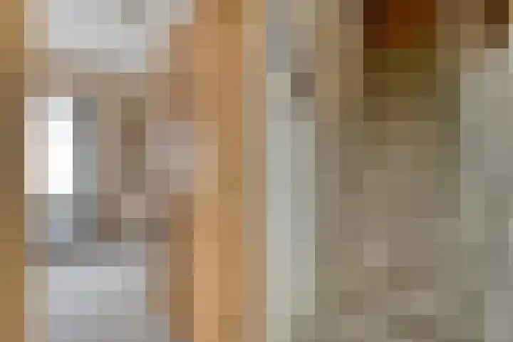 Beatrixlaan 39 Oosterhesselen thumbnail 9