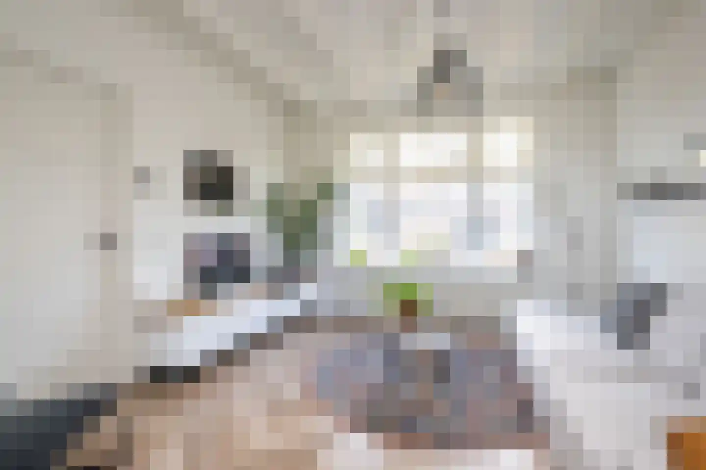 Beatrixlaan 4 Dirksland thumbnail 8