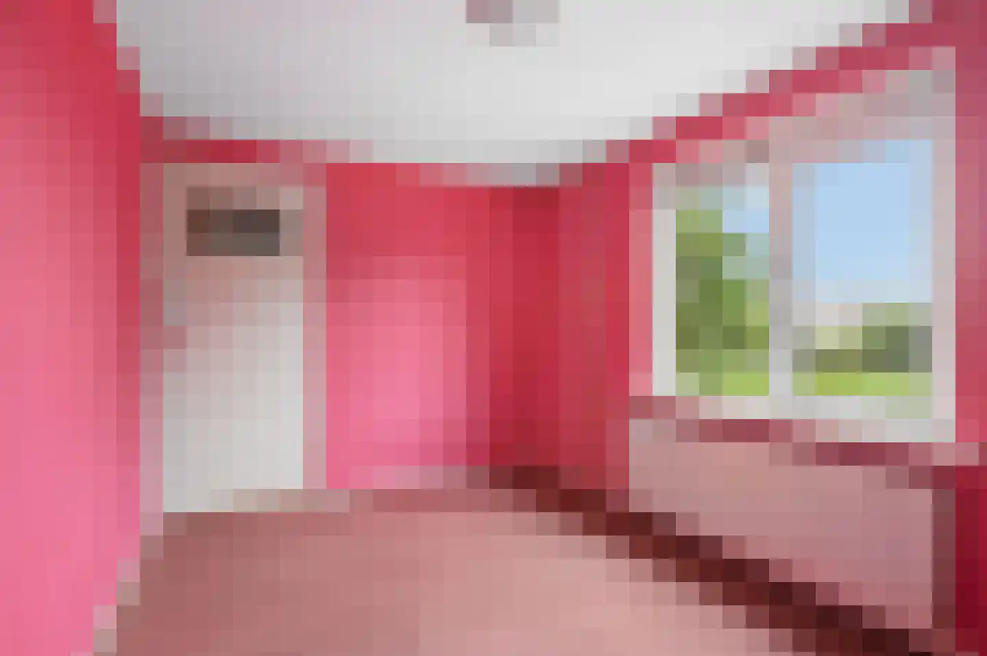 Beatrixlaan 4 Dodewaard thumbnail 17