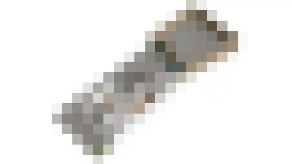 Beatrixlaan 4 Dodewaard thumbnail 37