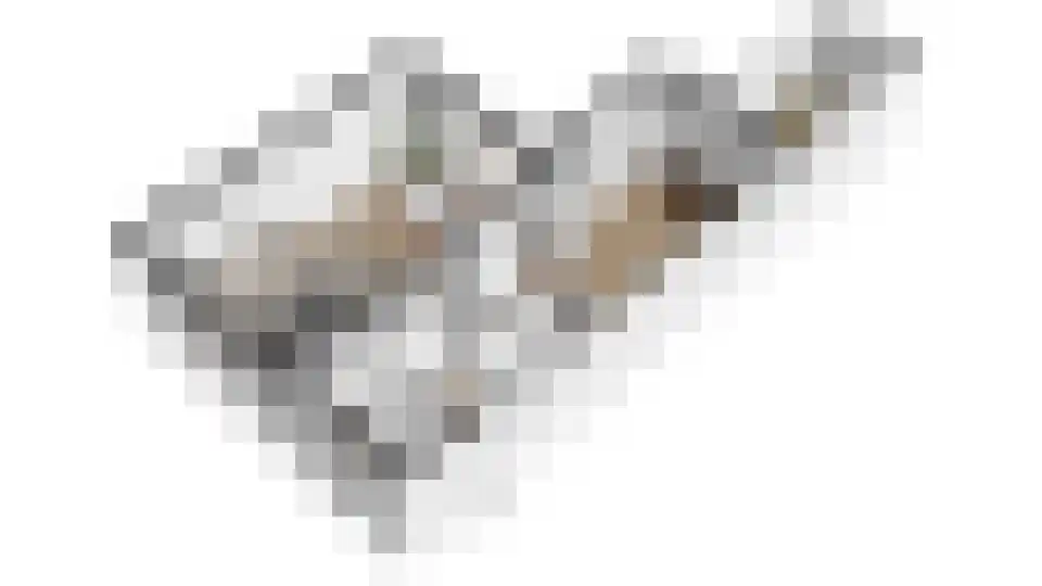 Beatrixlaan 4 Dodewaard thumbnail 38