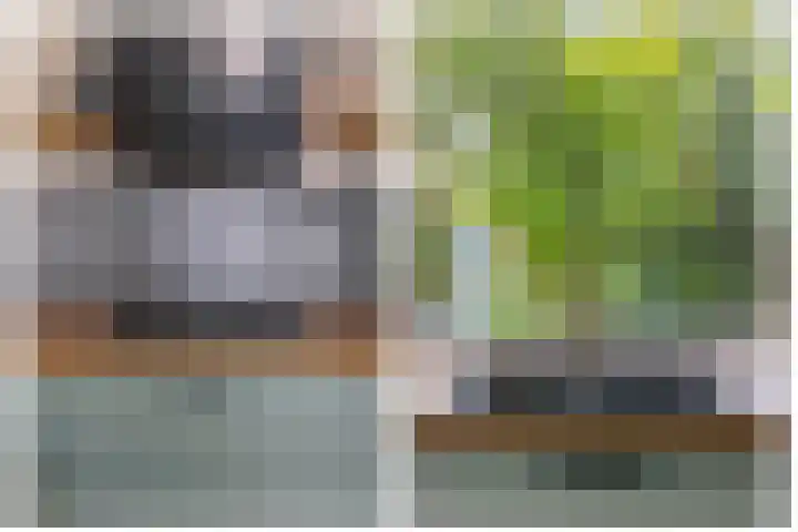 Beatrixlaan 4 Moerkapelle thumbnail 16