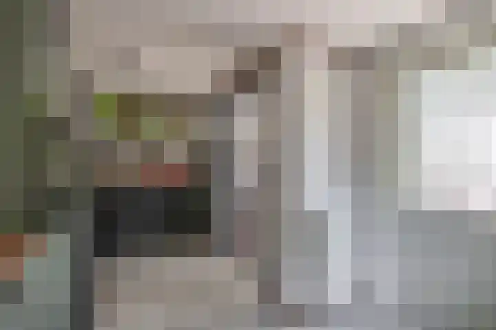 Beatrixlaan 4 Moerkapelle thumbnail 18