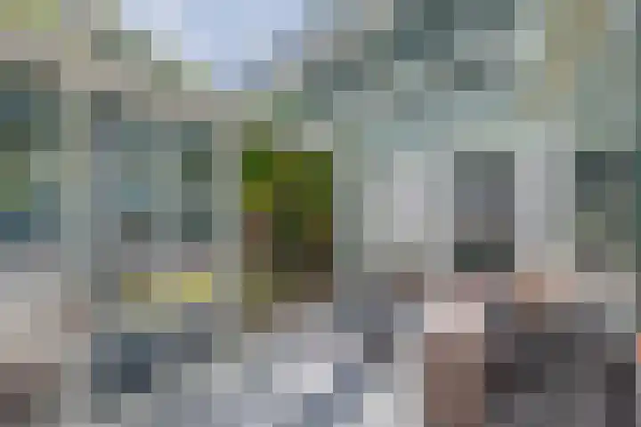 Beatrixlaan 4 Moerkapelle thumbnail 19