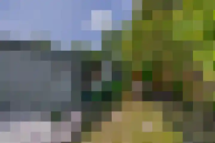Beatrixlaan 4 Moerkapelle thumbnail 21