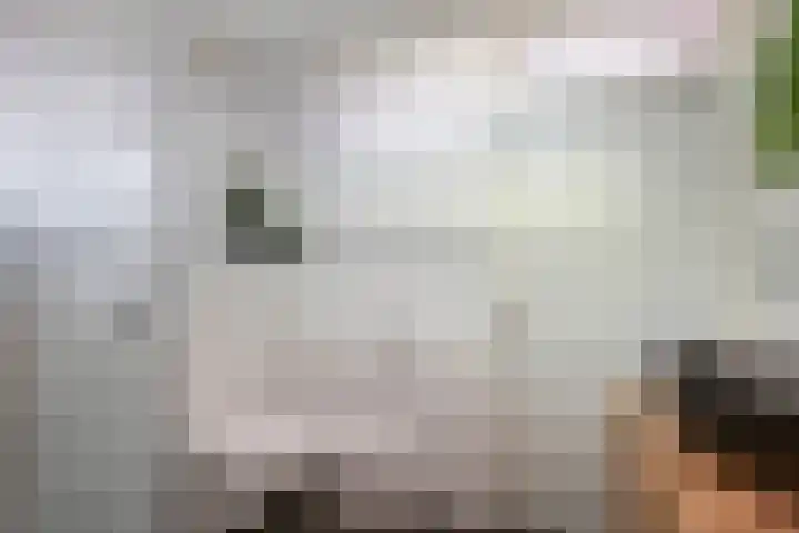 Beatrixlaan 4 Moerkapelle thumbnail 32