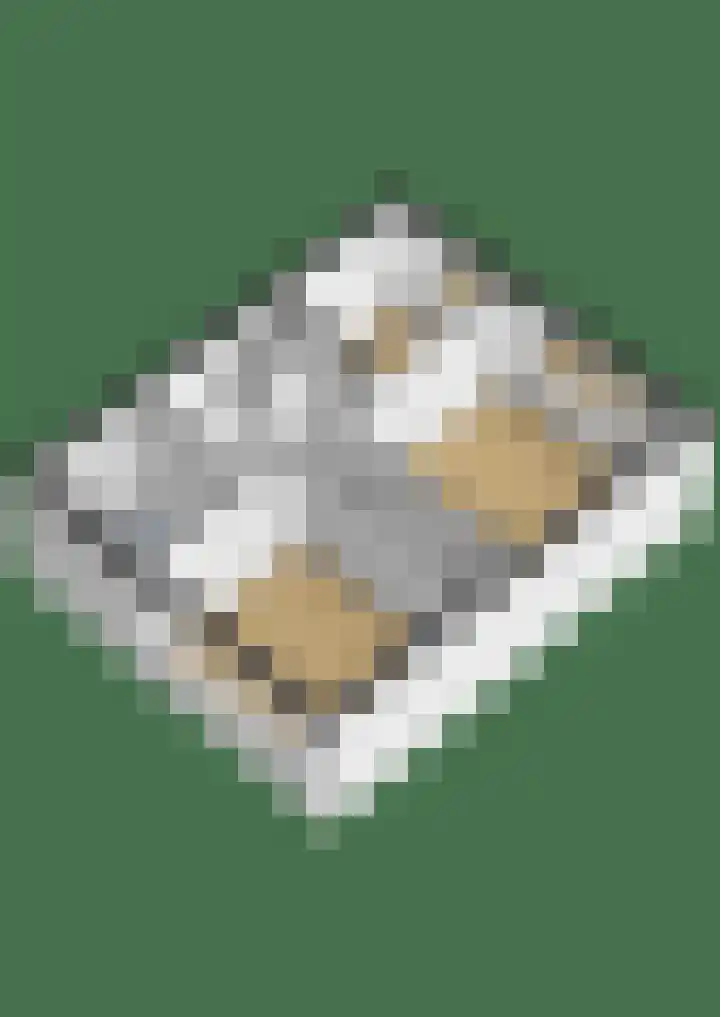 Beatrixlaan 4 Moerkapelle thumbnail 49