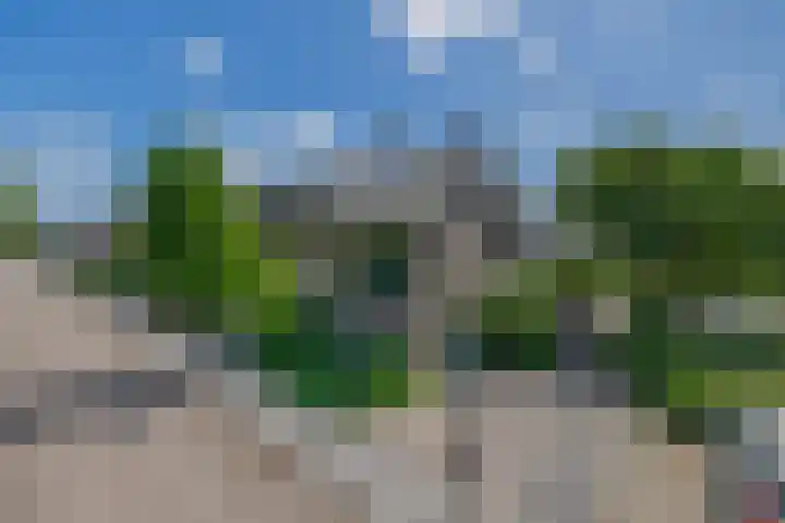 Beatrixlaan 4 Moerkapelle thumbnail 57