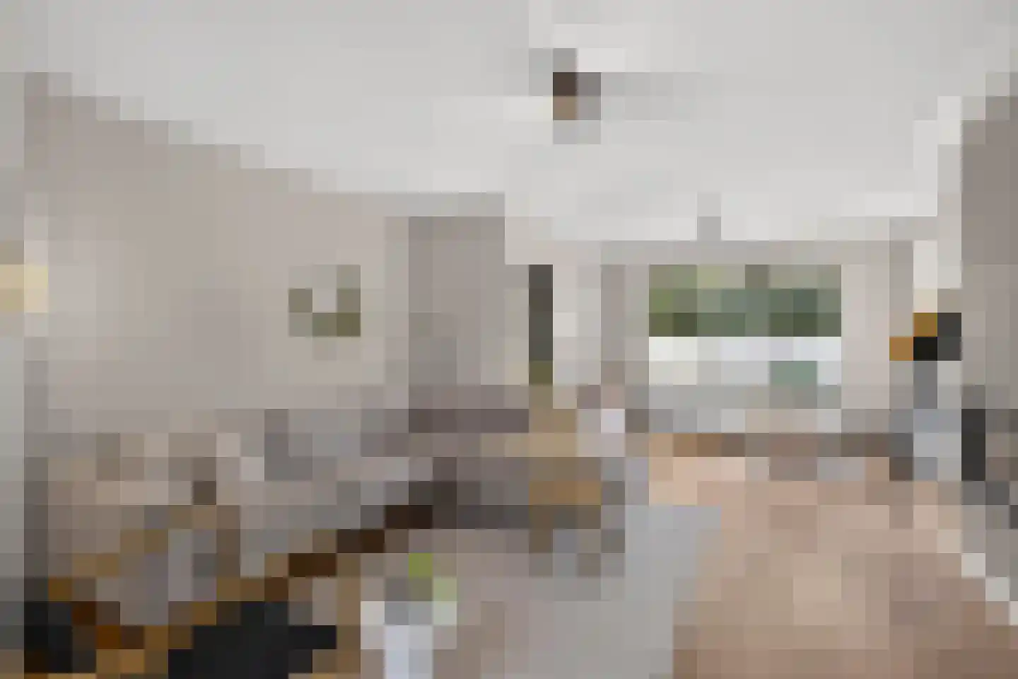 Beatrixlaan 40 Ede thumbnail 7