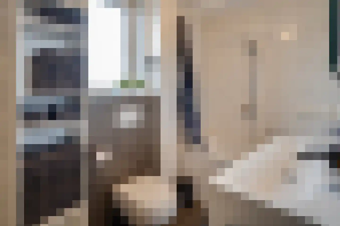 Beatrixlaan 40 Maasbracht thumbnail 29