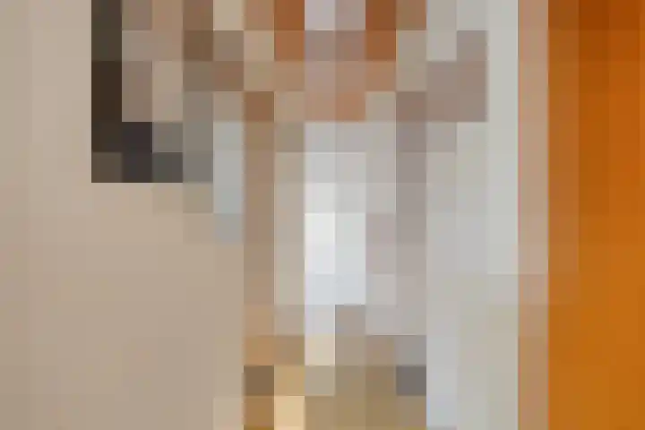 Beatrixlaan 43 Margraten thumbnail 18