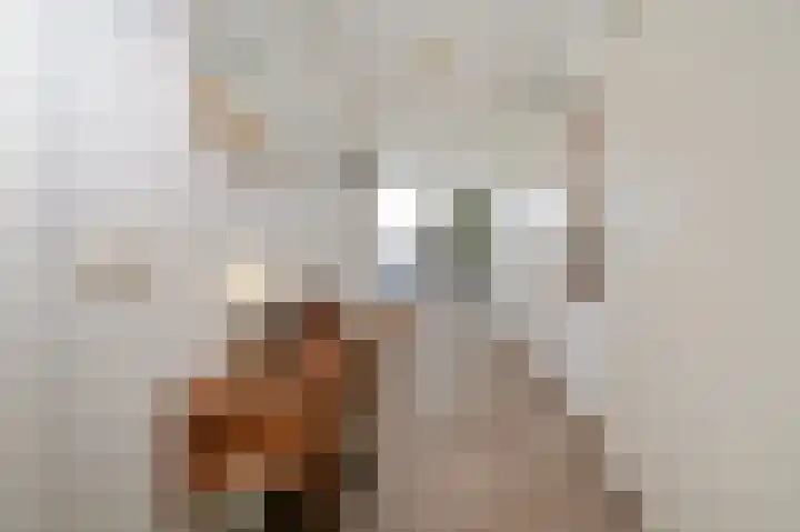 Beatrixlaan 45 M Den Burg thumbnail 5