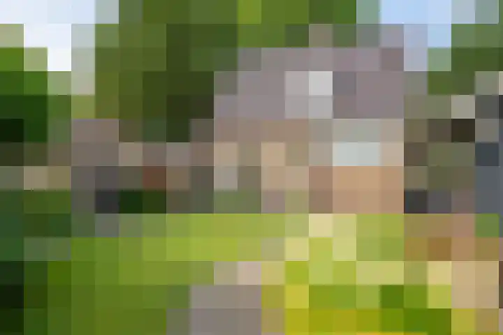 Beatrixlaan 47 Oosterhesselen thumbnail 23