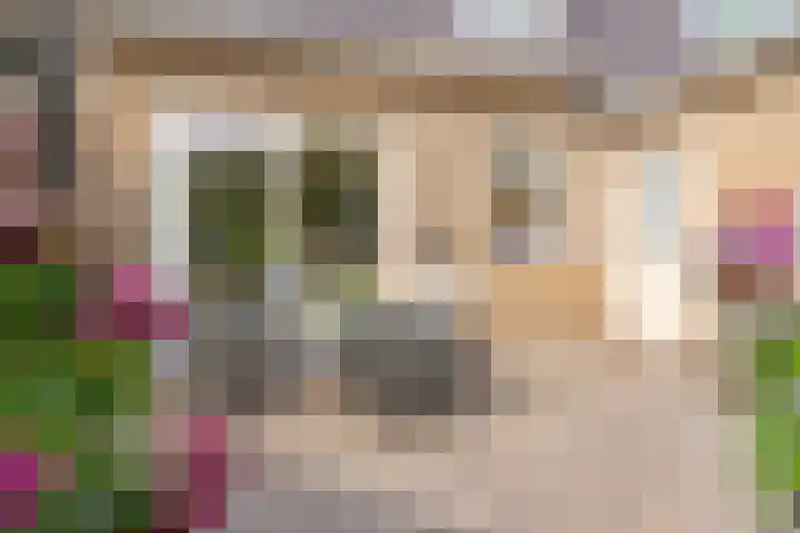 Beatrixlaan 47 Oosterhesselen thumbnail 24