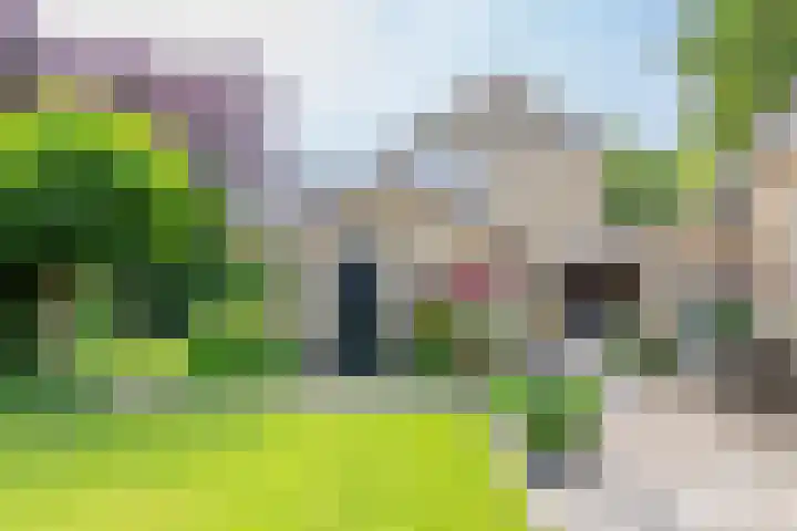 Beatrixlaan 47 Oosterhesselen thumbnail 25