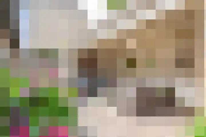 Beatrixlaan 47 Oosterhesselen thumbnail 26