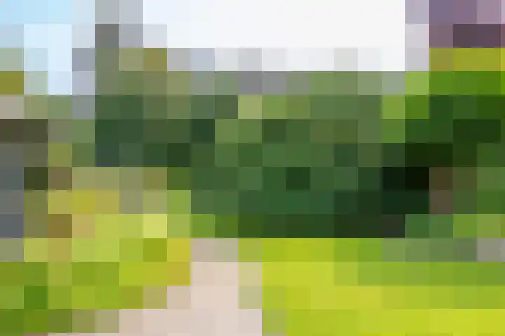 Beatrixlaan 47 Oosterhesselen thumbnail 29