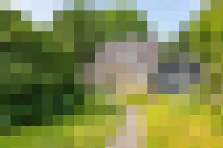 Beatrixlaan 47 Oosterhesselen thumbnail 31